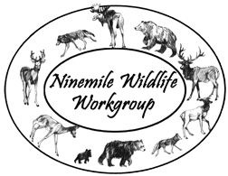 Ninemile Wildlife Workgroup Frenchtown Montana