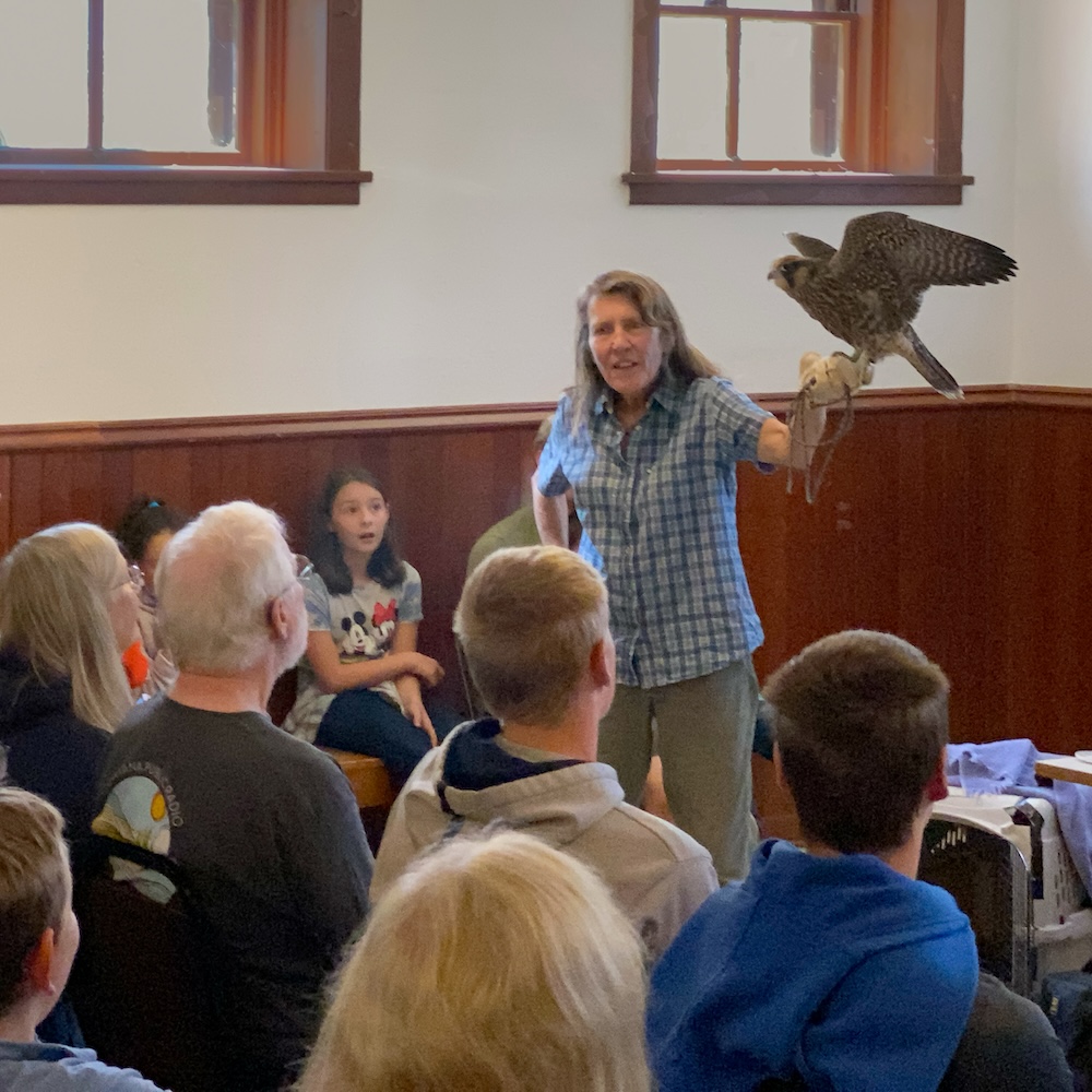 Ninemile Wildlife Workgroup Kate Davis