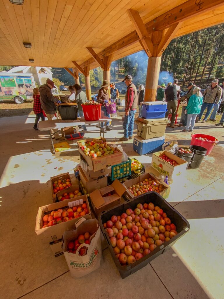 Ninemile Wildlife Workgroup Apple Harvest