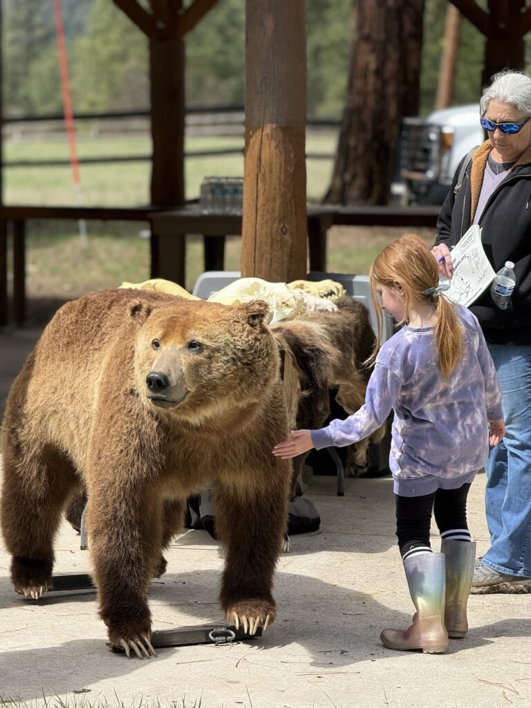 Ninemile Wildlife Workgroup Grizzly Bear Smart Demo